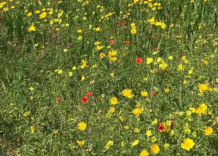 Haus A Apartament Kirchbach (Carinthia)