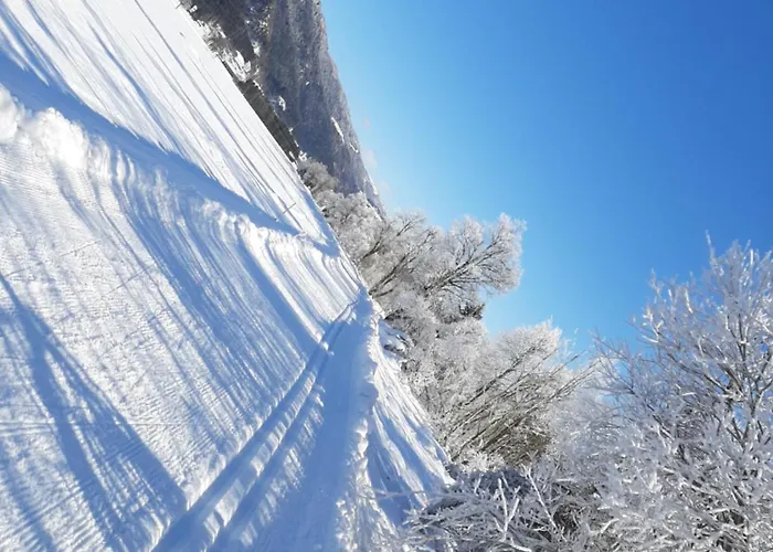 Haus A * Kirchbach (Carinthia)